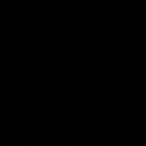 Meet your Posher, Ebony